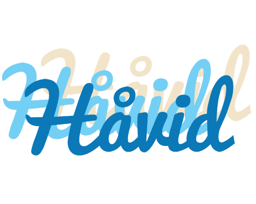 Håvid breeze logo