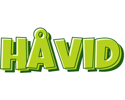 Håvid summer logo