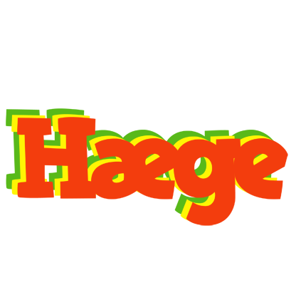 Hæge bbq logo