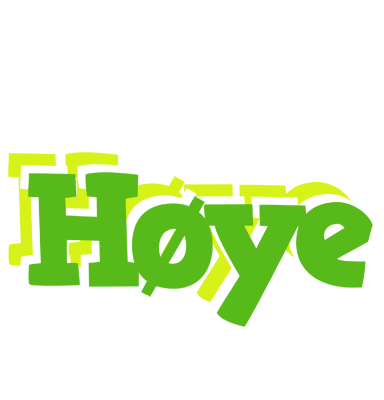 Høye picnic logo