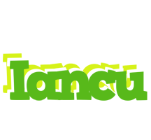 Iancu picnic logo