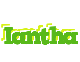 Iantha picnic logo