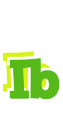 Ib picnic logo