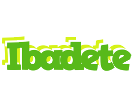 Ibadete picnic logo