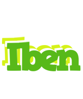 Iben picnic logo