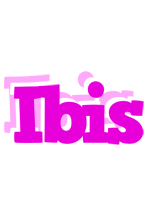 Ibis rumba logo