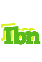 Ibn picnic logo