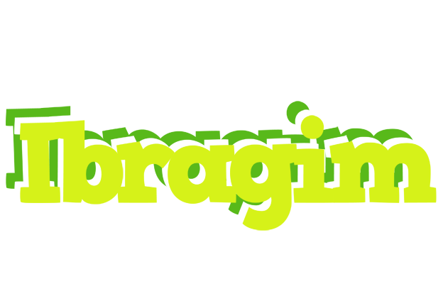 Ibragim citrus logo