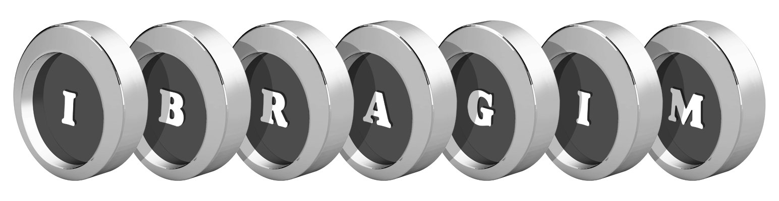 Ibragim coins logo