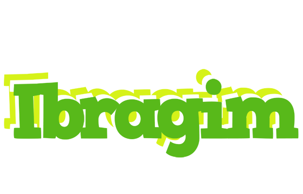Ibragim picnic logo
