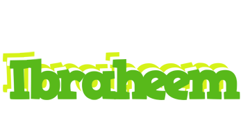 Ibraheem picnic logo