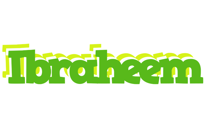Ibraheem picnic logo