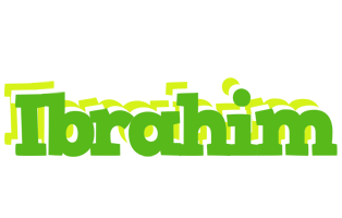 Ibrahim picnic logo