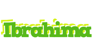 Ibrahima picnic logo