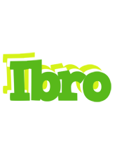 Ibro picnic logo