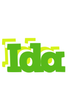 Ida picnic logo