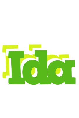 Ida picnic logo