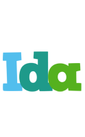 Ida rainbows logo