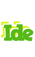 Ide picnic logo