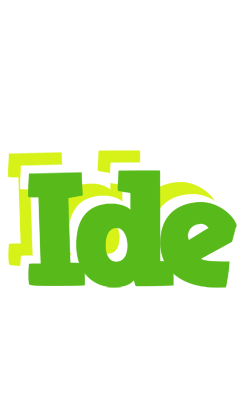 Ide picnic logo