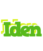 Iden picnic logo