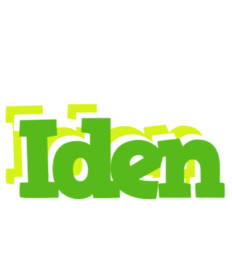 Iden picnic logo