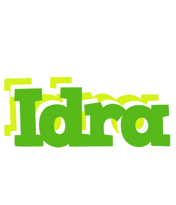 Idra picnic logo