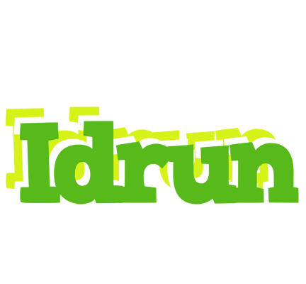 Idrun picnic logo