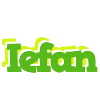 Iefan picnic logo