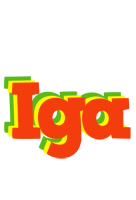 Iga bbq logo