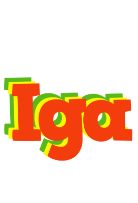 Iga bbq logo