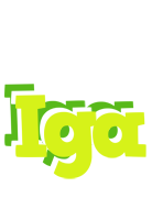 Iga citrus logo