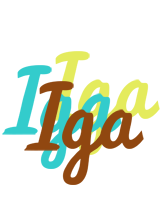 Iga cupcake logo