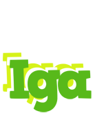 Iga picnic logo