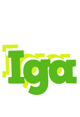 Iga picnic logo