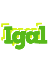 Igal picnic logo