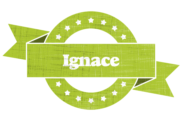 Ignace change logo