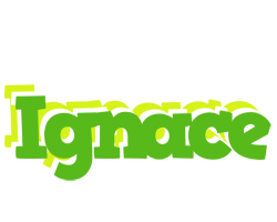 Ignace picnic logo