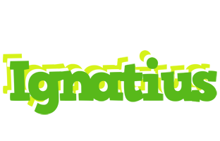Ignatius picnic logo