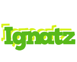 Ignatz picnic logo
