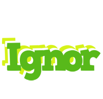 Ignor picnic logo