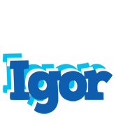 Igor business logo