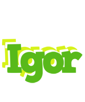 Igor picnic logo