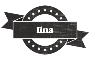 Iina grunge logo