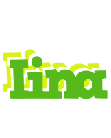 Iina picnic logo