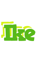 Ike picnic logo