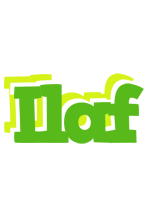 Ilaf picnic logo
