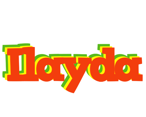 Ilayda bbq logo