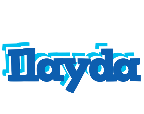 Ilayda business logo
