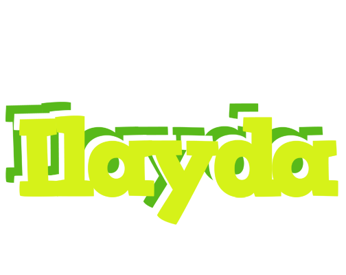 Ilayda citrus logo